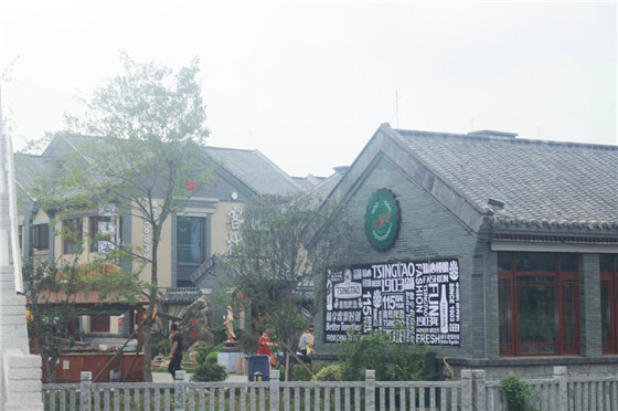 19.jpg